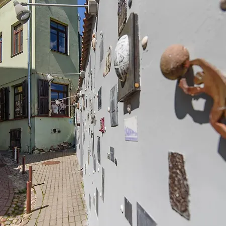 شقة Welcoming Studio In Historic With Free Parking By Urban Rent فيلنيوس